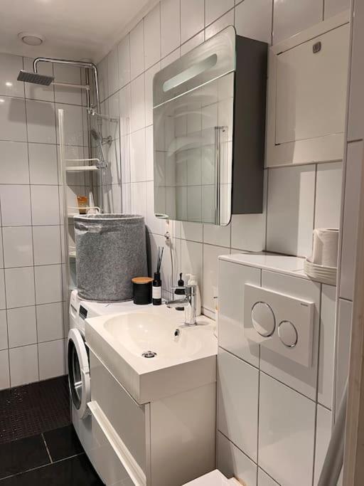 Royal Neighbourhood Elegant Flat In Central Oslo Exterior foto